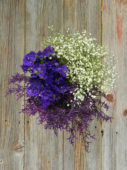 FILLER FLOWERS TINTED BLUE LIMONIUM, GYP, PURPLE STATICE  ASSORTED COMBO BOX